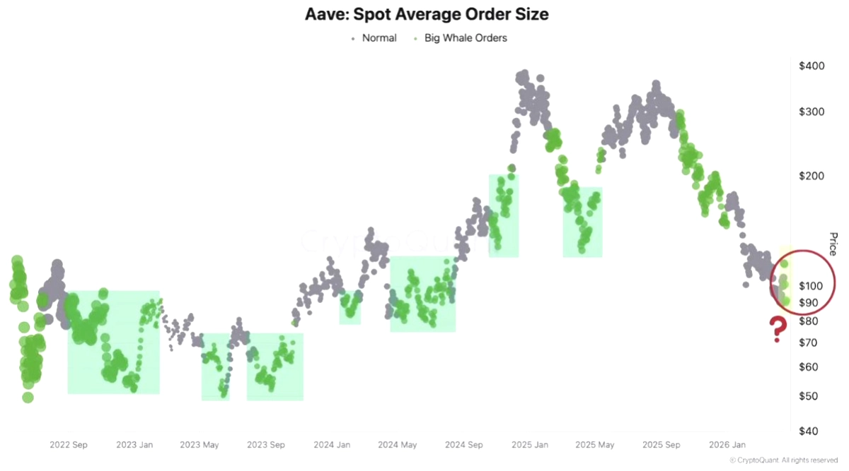 Balinalar Fırtınada AAVE Topluyor: Piyasa Dibi Sinyali Mi?