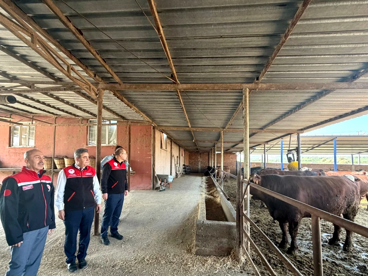 Balıkesir'de Kurban Bayramı Öncesi Hayvancılık Denetimleri