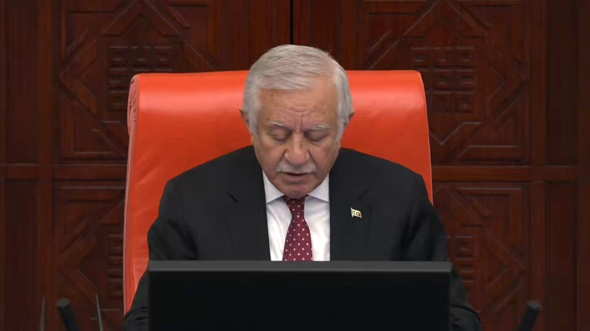 TBMM'de Çocukların Sesi: Küçük Eller Büyük Dilekler Projesi