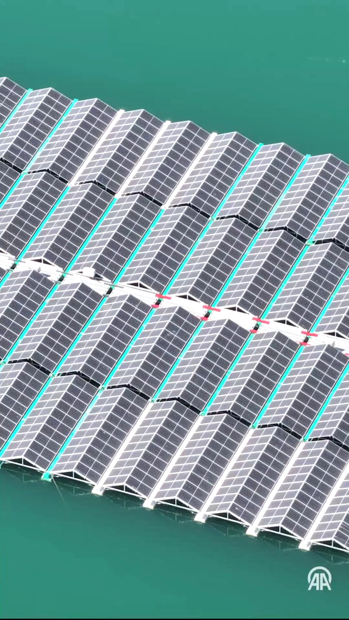 Yüzer Güneş Santralleri Doğal Yaşama Ev Sahipliği Yapıyor