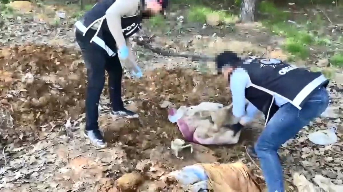 Pendik'te Yeraltı Deposundan 3.092 Silah Parçası Çıktı: 4 Gözaltı