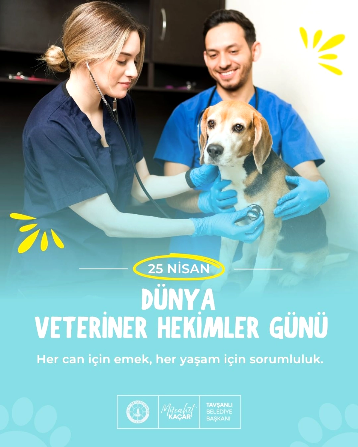 Tavşanlı'da Veteriner Hekimler Günü: Toplum Sağlığının Görünmeyen Kahramanları