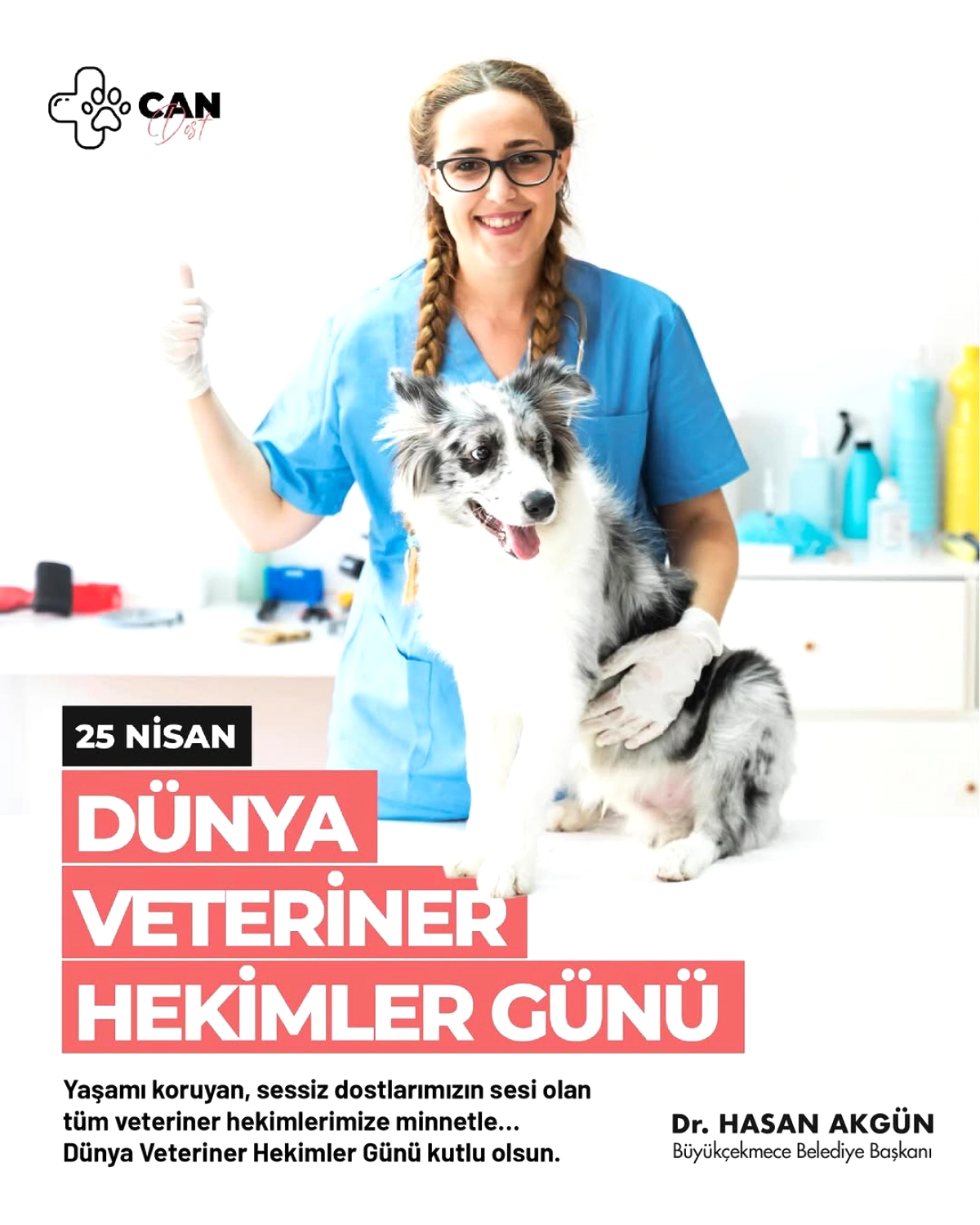Akgün'den Dünya Veteriner Hekimler Günü Mesajı