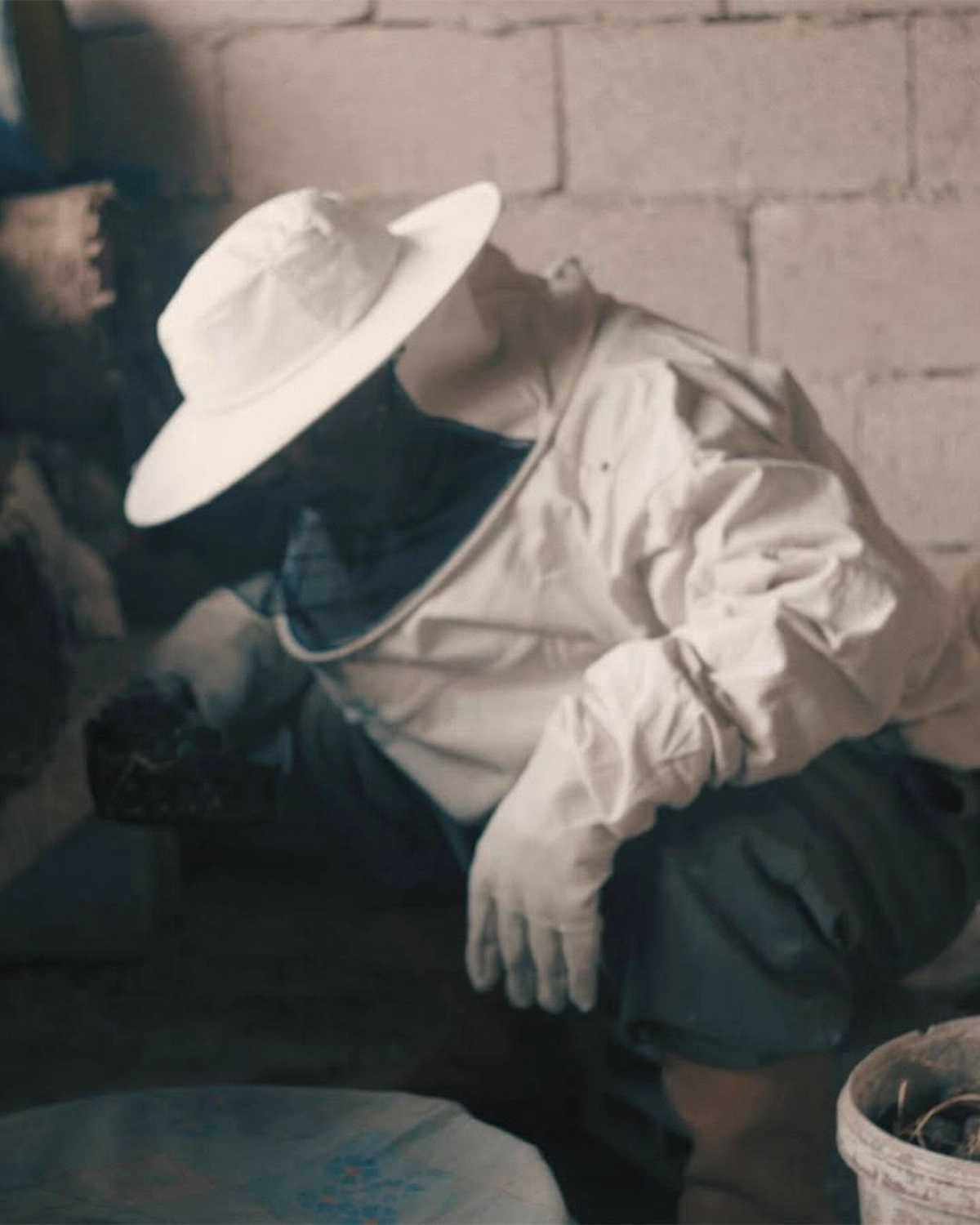 Pera Film'de Ücretsiz 