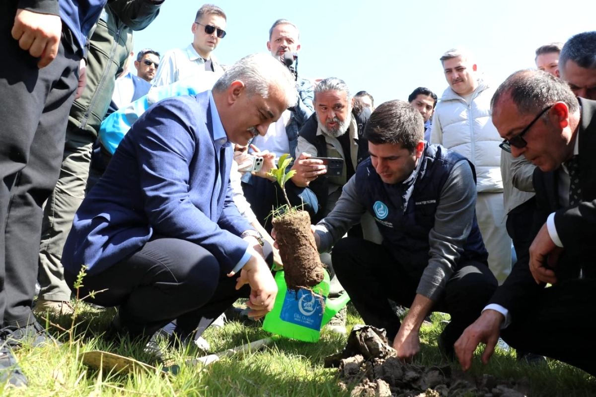 Düzce'de Devlet Bahçeli Hatıra Ormanı'na 200 Fidan Dikildi