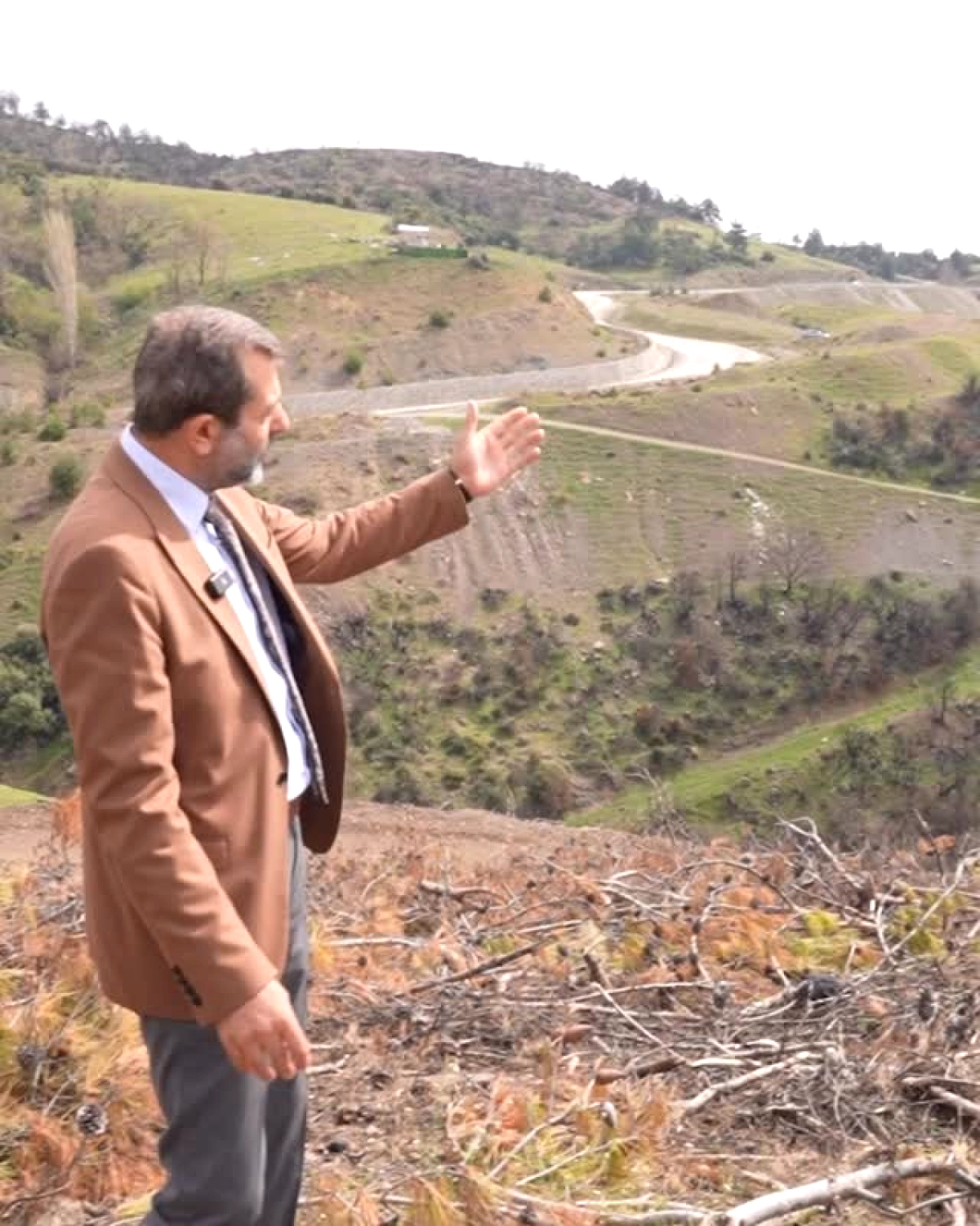 Gürsu'da Yangın Sonrası Doğanın Mucizesi: Fidanlar Meyve Verdi