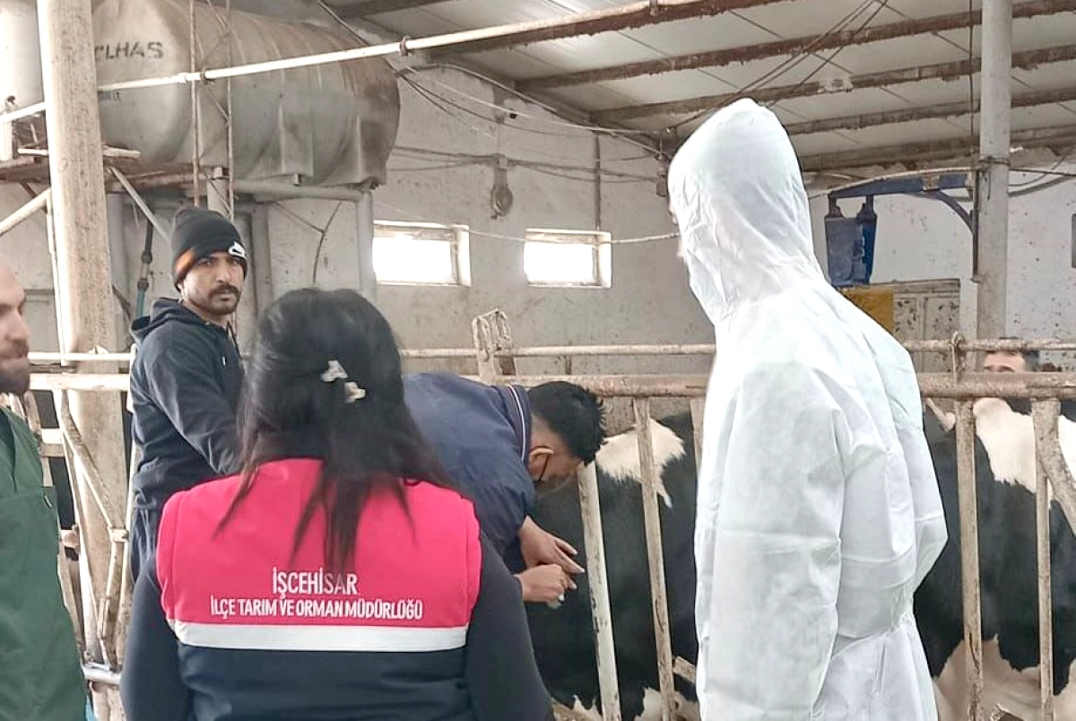 Afyonkarahisar'da Ari İşletme Çalışmaları Sürüyor