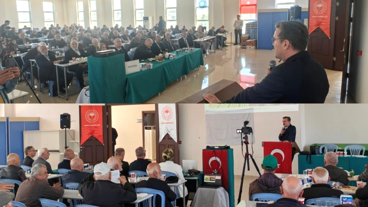 Bursa'da Zeytin Üreticilerine Eğitim Seferberliği: Pestisit Kalıntısı Azaltılacak