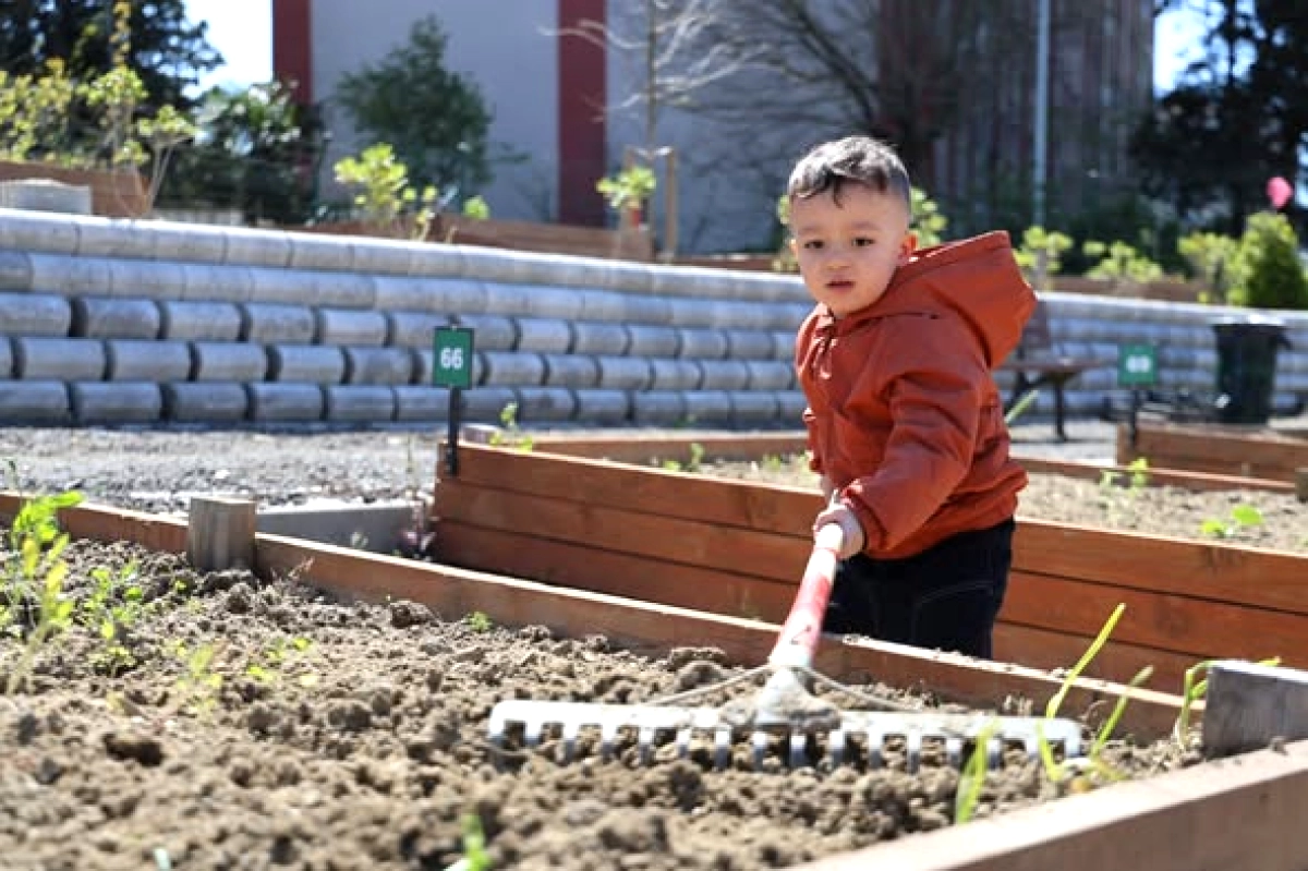 Ataşehir Kent Bostanları'nda Yeni Sezon: 850 Aile Toprakla Buluşuyor