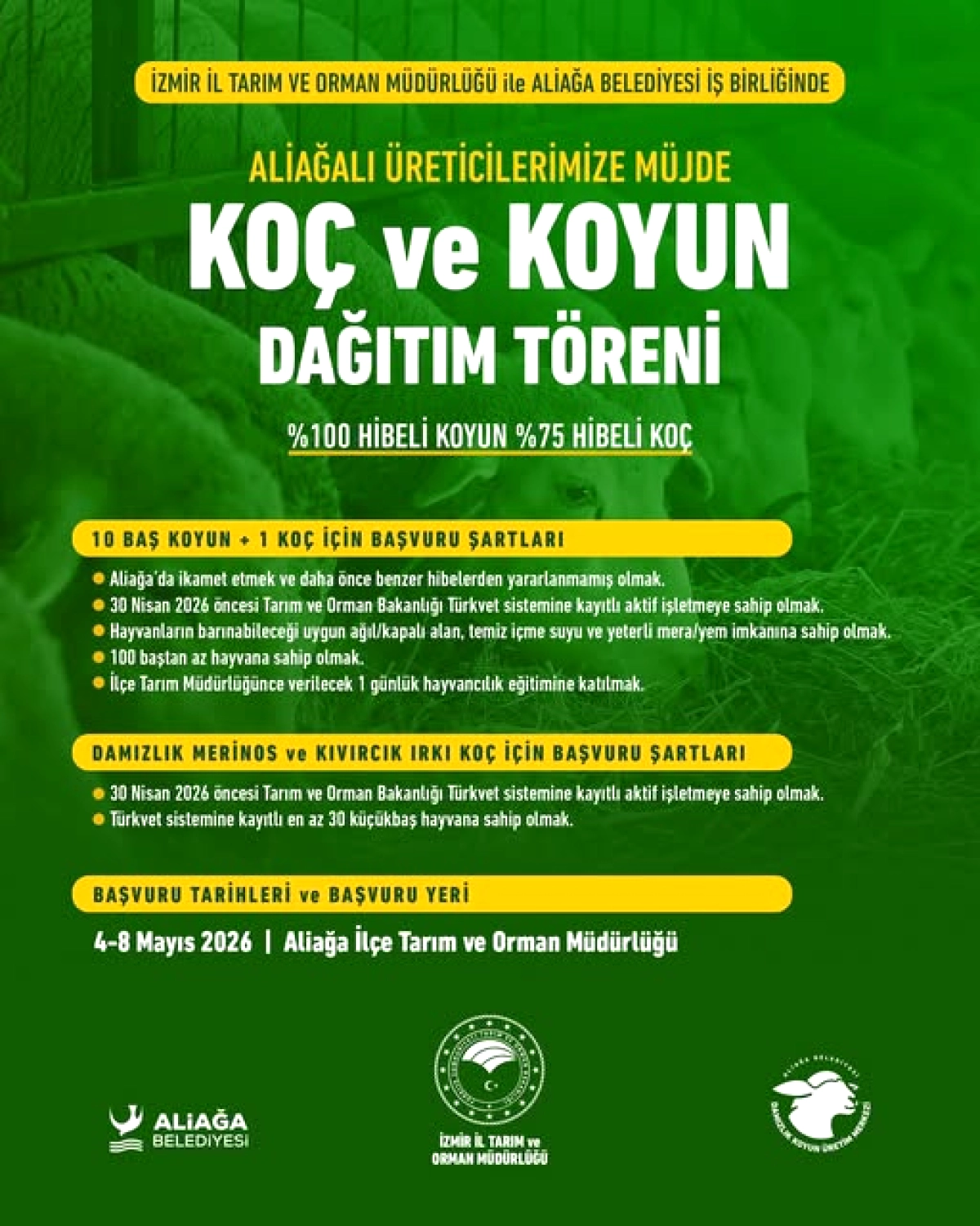 Aliağalı Üreticilere 175 Küçükbaş Hayvan Hibe Desteği