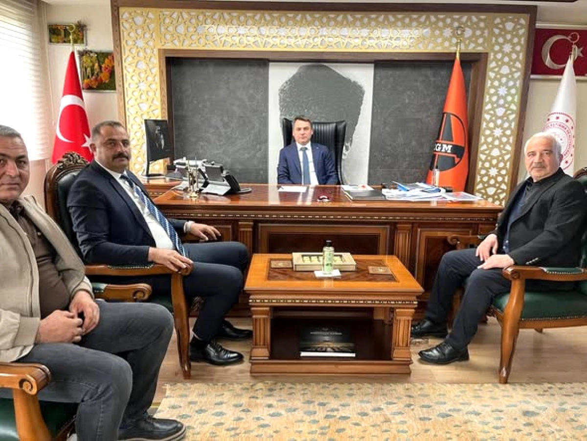 Şahruh Köprüsü Işıklandırma Talebi Kayseri'de Değerlendiriliyor