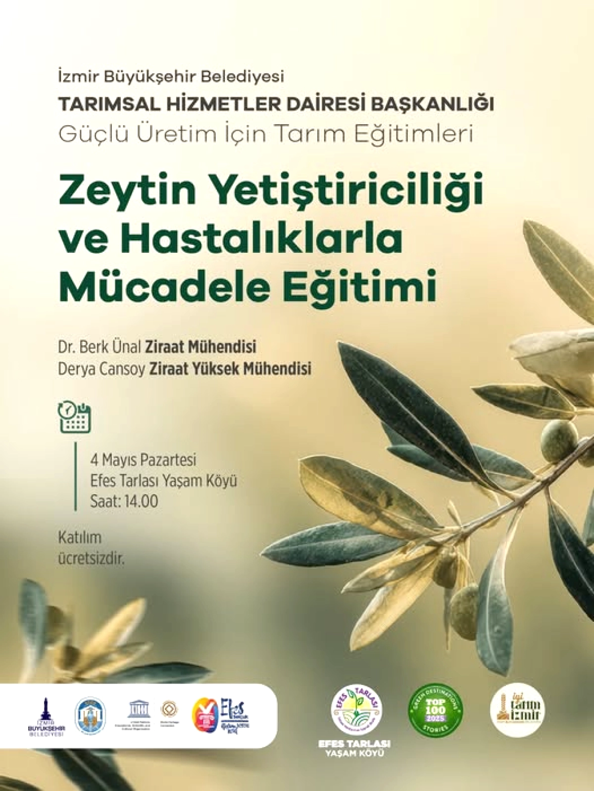 Selçuk'ta Zeytin Üreticilerine Ücretsiz Eğitim: 4 Mayıs'ta Başlıyor