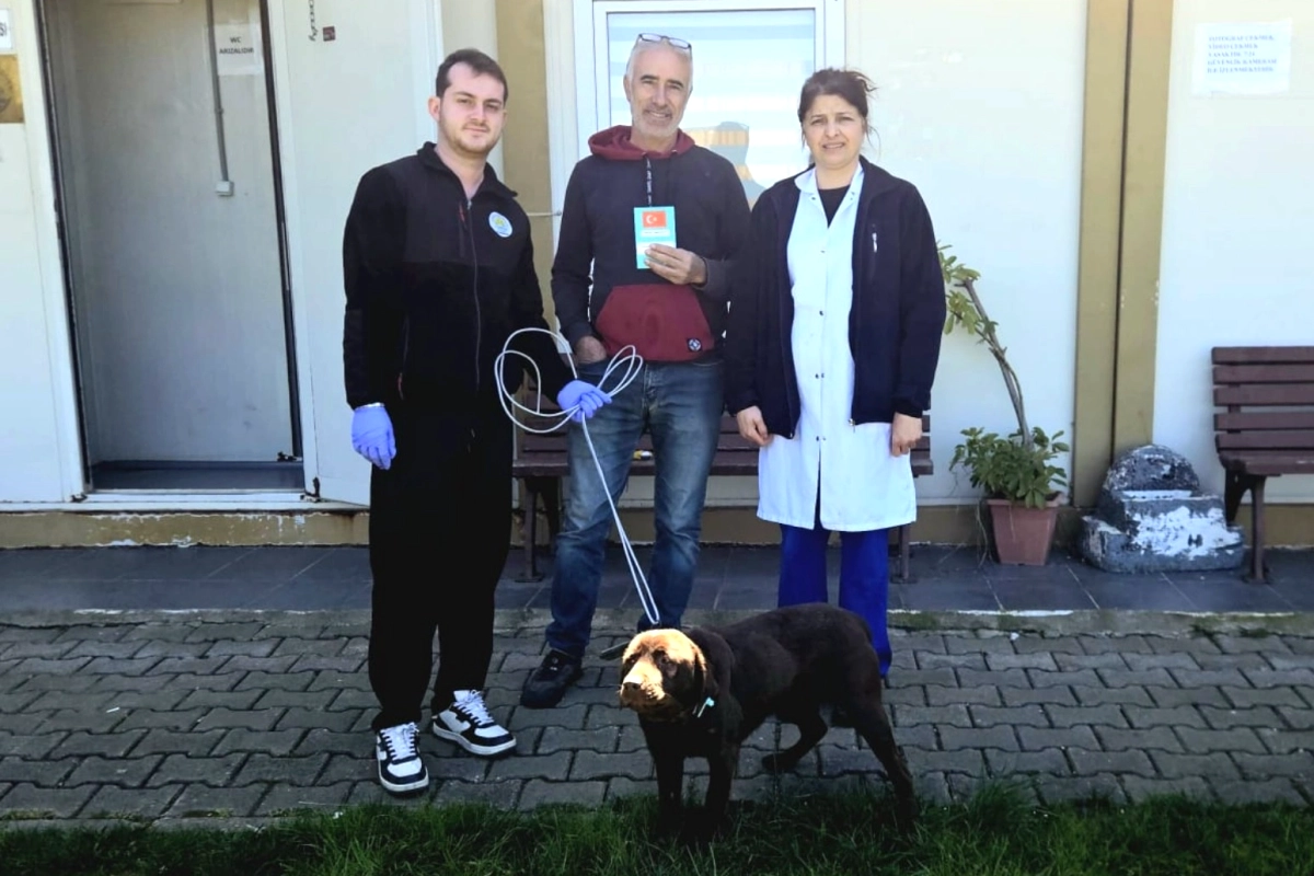 Çınarcık'ta Sokak Köpeği Yeni Yuvasına Kavuştu