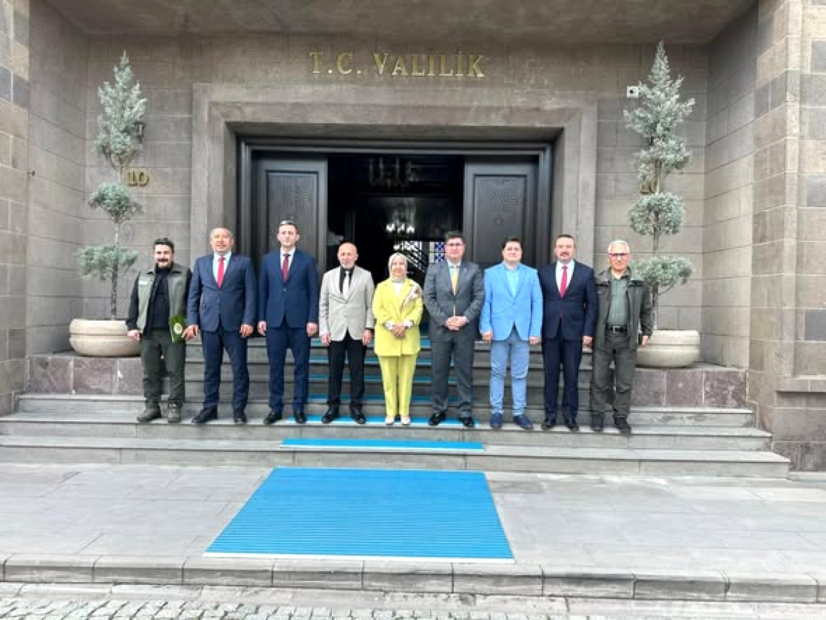 Sinanpaşa Belediyesi ve Valilik Sokak Hayvanları İçin Güç Birliği Yaptı