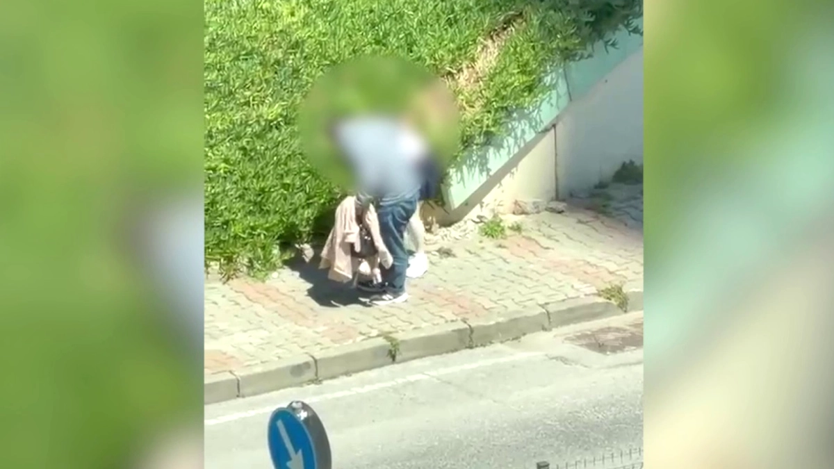 Maltepe'de Sokak Ortasında Kadına Şiddet: Şüpheli Yakalandı