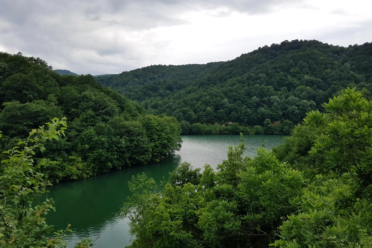 Türkiye'nin En Yeşil İlleri Açıklandı: Yalova 7. Sırada