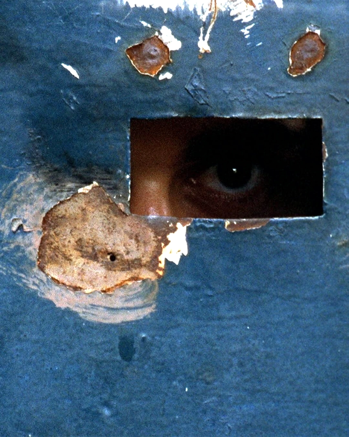 İstanbul'da Ücretsiz Film Gösterimi: Toprak ve Ekoloji Ödüllü Yapımlar