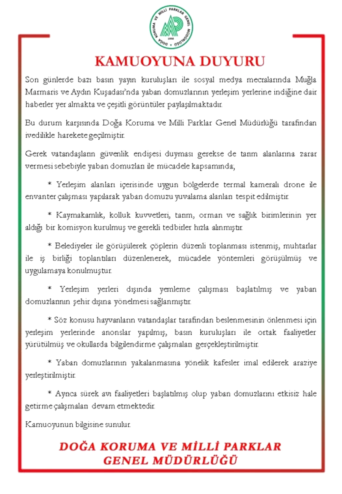 Rize'nin Zirvelerinde Çengel Boynuzlu Keçiler: Karların Üzerinde Nadir Görüntü