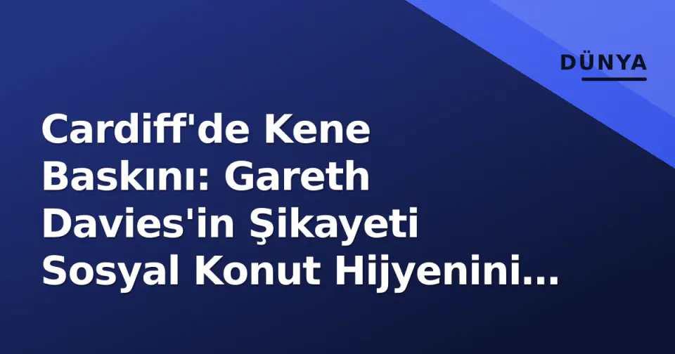 Cardiff'de Kene Baskını: Gareth Davies'in Şikayeti Sosyal Konut Hijyenini Zorlu Sınama Koydu görseli