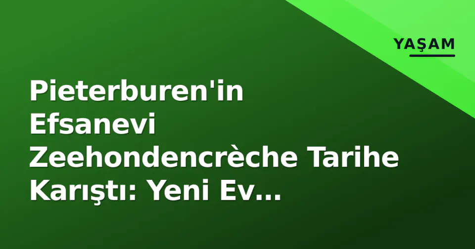 Pieterburen'in Efsanevi Zeehondencrèche Tarihe Karıştı: Yeni Ev Lauwersoog'da Açılıyor görseli