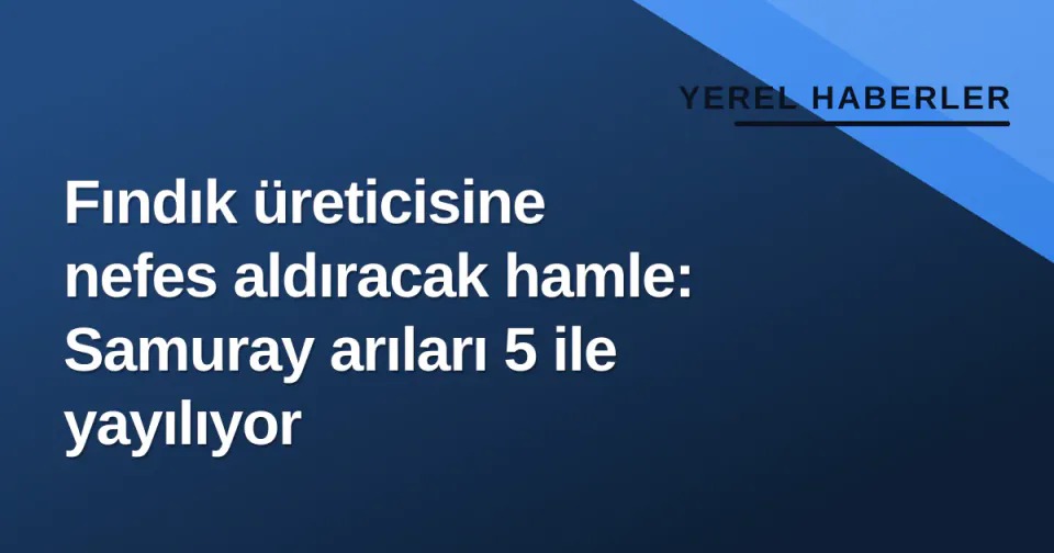 Fındık üreticisine nefes aldıracak hamle: Samuray arıları 5 ile yayılıyor görseli