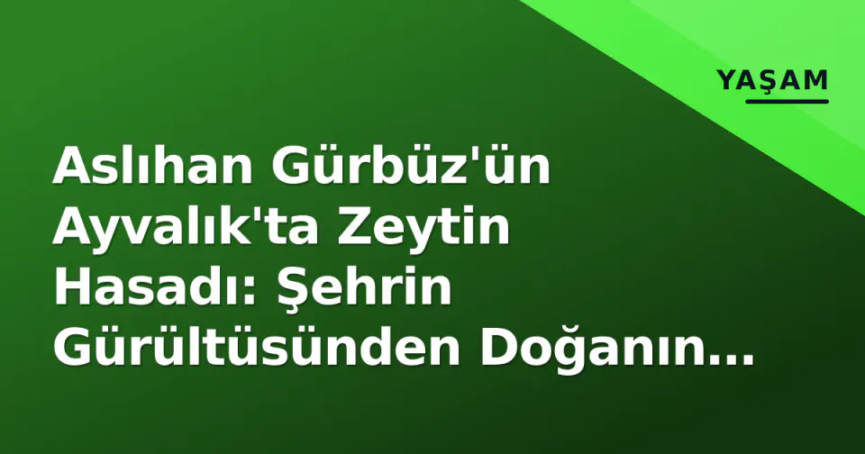 Aslıhan Gürbüz'ün Ayvalık'ta Zeytin Hasadı: Şehrin Gürültüsünden Doğanın Ritmine Geçişin 2026 Hesabı görseli