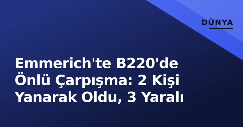 Emmerich'te B220'de Önlü Çarpışma: 2 Kişi Yanarak Oldu, 3 Yaralı görseli