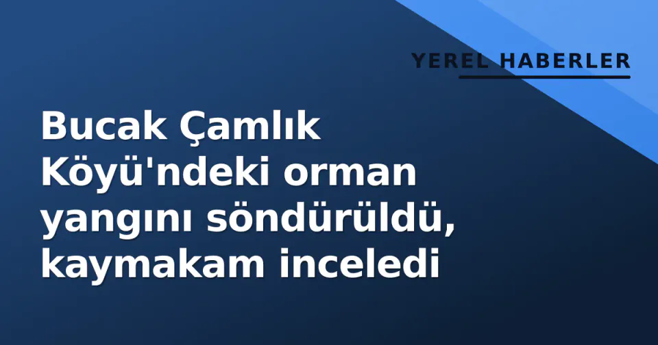 Bucak Çamlık Köyü'ndeki orman yangını söndürüldü, kaymakam inceledi görseli