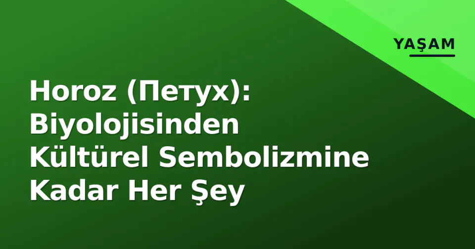 Horoz (Петух): Biyolojisinden Kültürel Sembolizmine Kadar Her Şey görseli