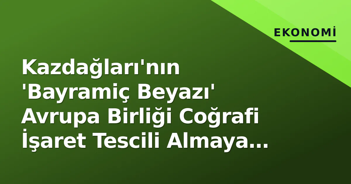 Kazdağları'nın 'Bayramiç Beyazı' Avrupa Birliği Coğrafi İşaret Tescili Almaya Başladı Kazdağları'nın 'Bayramiç Beyazı' Avrupa Birliği Coğrafi İşaret Tescili Almaya Başladı