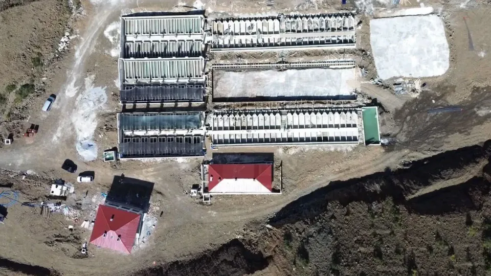 Erzincan'da alabalık üretimi rekor kırdı: 16 tesiste 3 bin 132 ton görseli