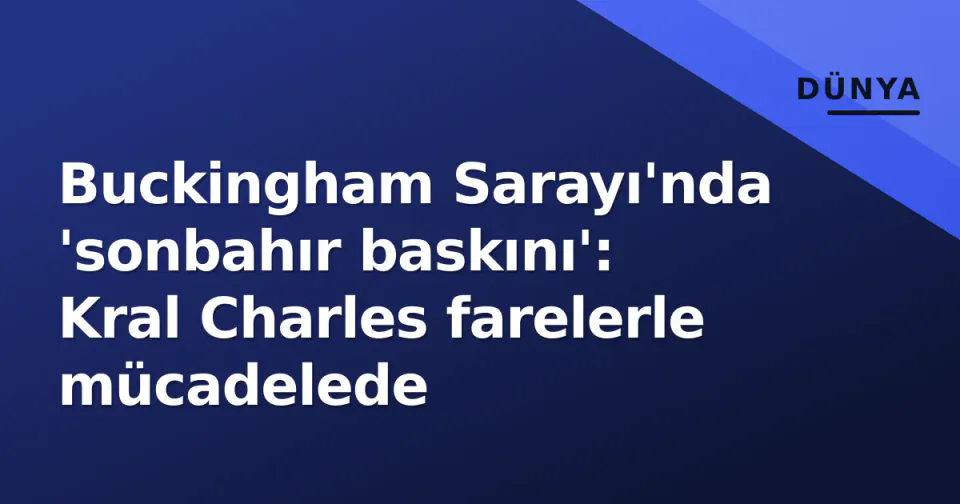 Buckingham Sarayı'nda 'sonbahır baskını': Kral Charles farelerle mücadelede görseli