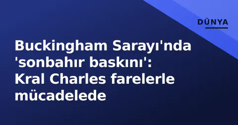 Buckingham Sarayı'nda 'sonbahır baskını': Kral Charles farelerle mücadelede