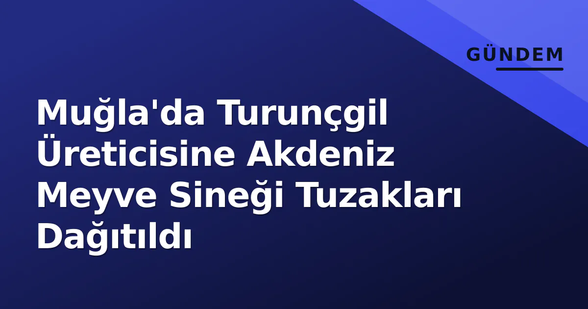 Muğla'da Turunçgil Üreticisine Akdeniz Meyve Sineği Tuzakları Dağıtıldı Muğla'da Turunçgil Üreticisine Akdeniz Meyve Sineği Tuzakları Dağıtıldı