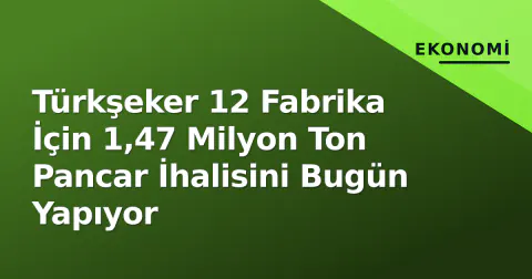 Türkşeker 12 Fabrika İçin 1,47 Milyon Ton Pancar İhalisini Bugün Yapıyor