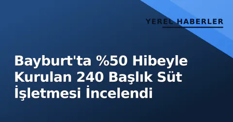Bayburt'ta %50 Hibeyle Kurulan 240 Başlık Süt İşletmesi İncelendi