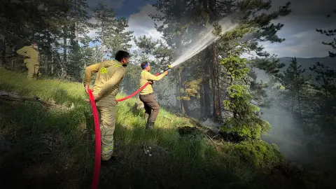 Kastamonu Tosya'daki orman yangını kontrol altına alındı: 7,5 dönüm alan zarar gördü