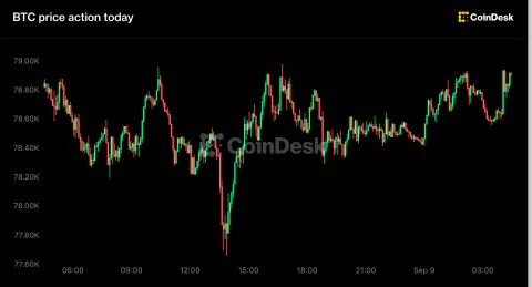 Bitcoin 79 bin dolara doğru toparlandı; Zcash ETF girişi 500 milyon dolara ulaştı
