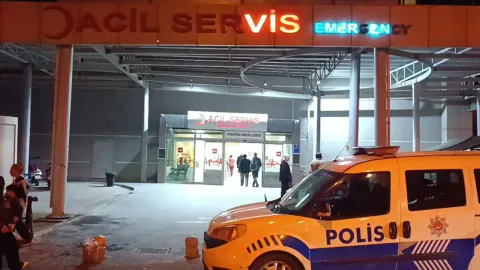 Birecik'te Korkutan Kaza: Karşıya Geçmek İsteyen İki Çocuk Yaralandı