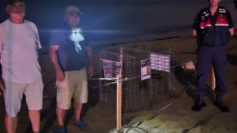 Kuşadası Sahillerinde Caretta Caretta Heyecanı: İlk Yuva Koruma Altında