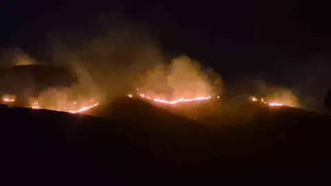 Bodrum'da Yangın Kontrol Altına Alındı: Soğutma Çalışmaları Devam Ediyor