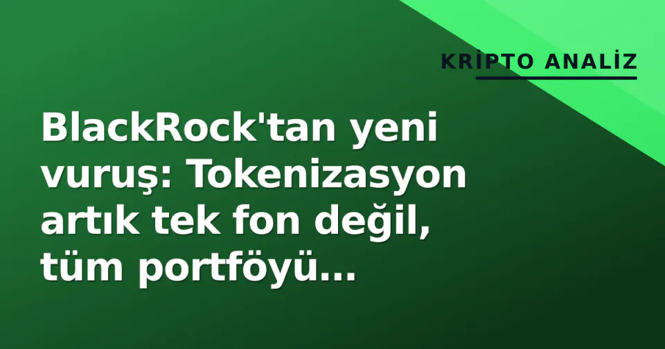 BlackRock'tan yeni vuruş: Tokenizasyon artık tek fon değil, tüm portföyü hedefliyor görseli