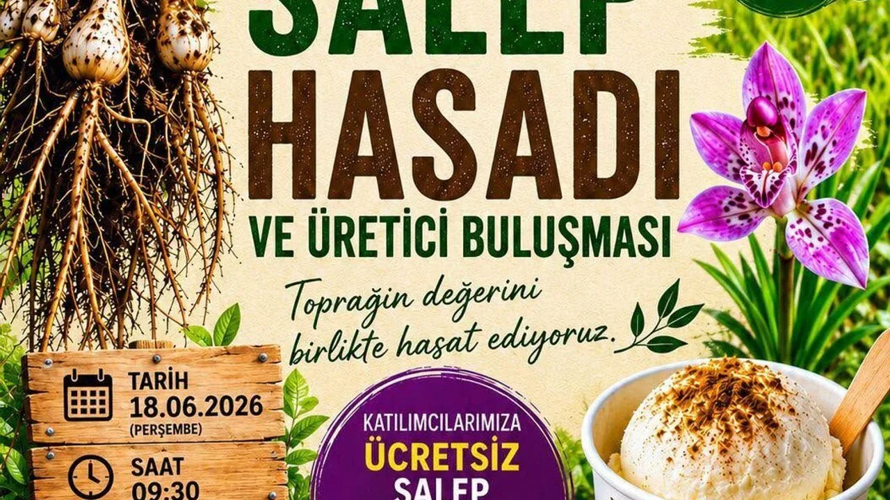 Alanya'da Salep Hasadı Başlıyor: Üretici Buluşması Kestel'de Yapılacak Alanya'da Salep Hasadı Başlıyor: Üretici Buluşması Kestel'de Yapılacak