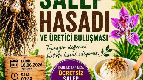 Alanya'da Salep Hasadı Başlıyor: Üretici Buluşması Kestel'de Yapılacak