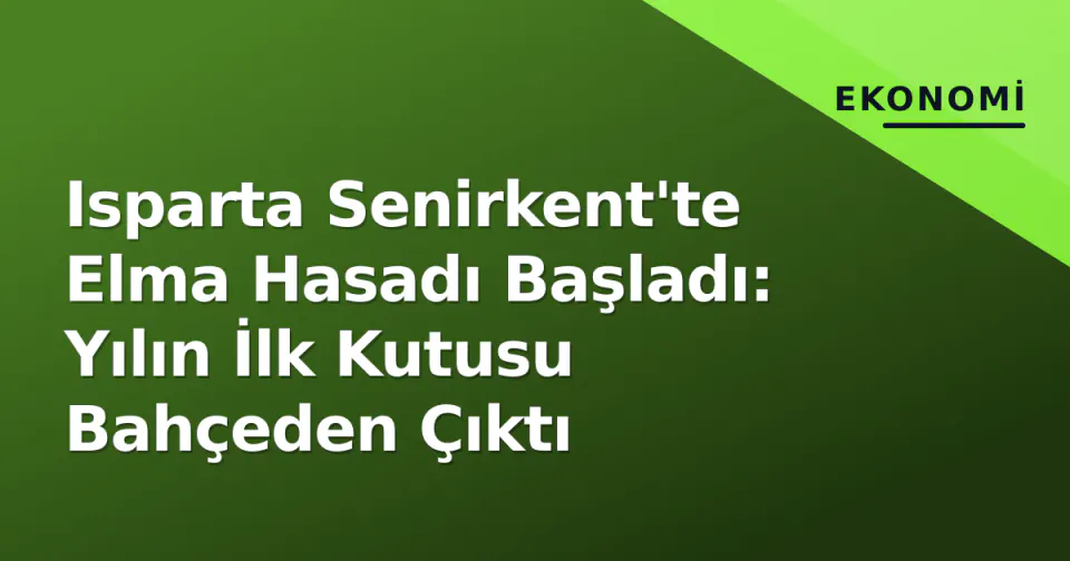 Isparta Senirkent'te Elma Hasadı Başladı: Yılın İlk Kutusu Bahçeden Çıktı görseli