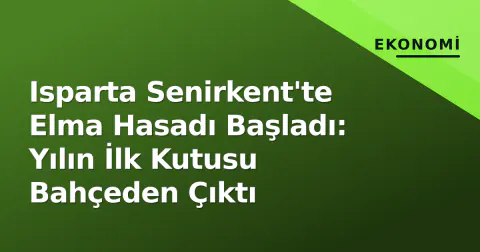 Isparta Senirkent'te Elma Hasadı Başladı: Yılın İlk Kutusu Bahçeden Çıktı