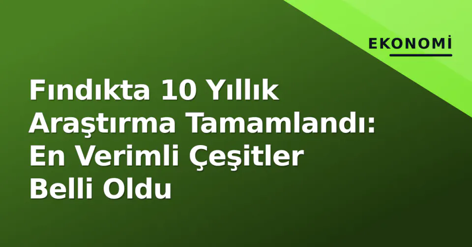 Fındıkta 10 Yıllık Araştırma Tamamlandı: En Verimli Çeşitler Belli Oldu görseli