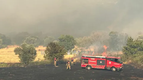 Foça'da Orman Yangını Alevler Cephaneliğe Dayandı