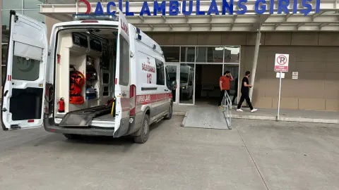 Erzincan'da Büyükbaş Hayvan Saldırısı: Bir Kişinin Parmağı Koptu