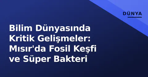 Bilim Dünyasında Kritik Gelişmeler: Mısır'da Fosil Keşfi ve Süper Bakteri
